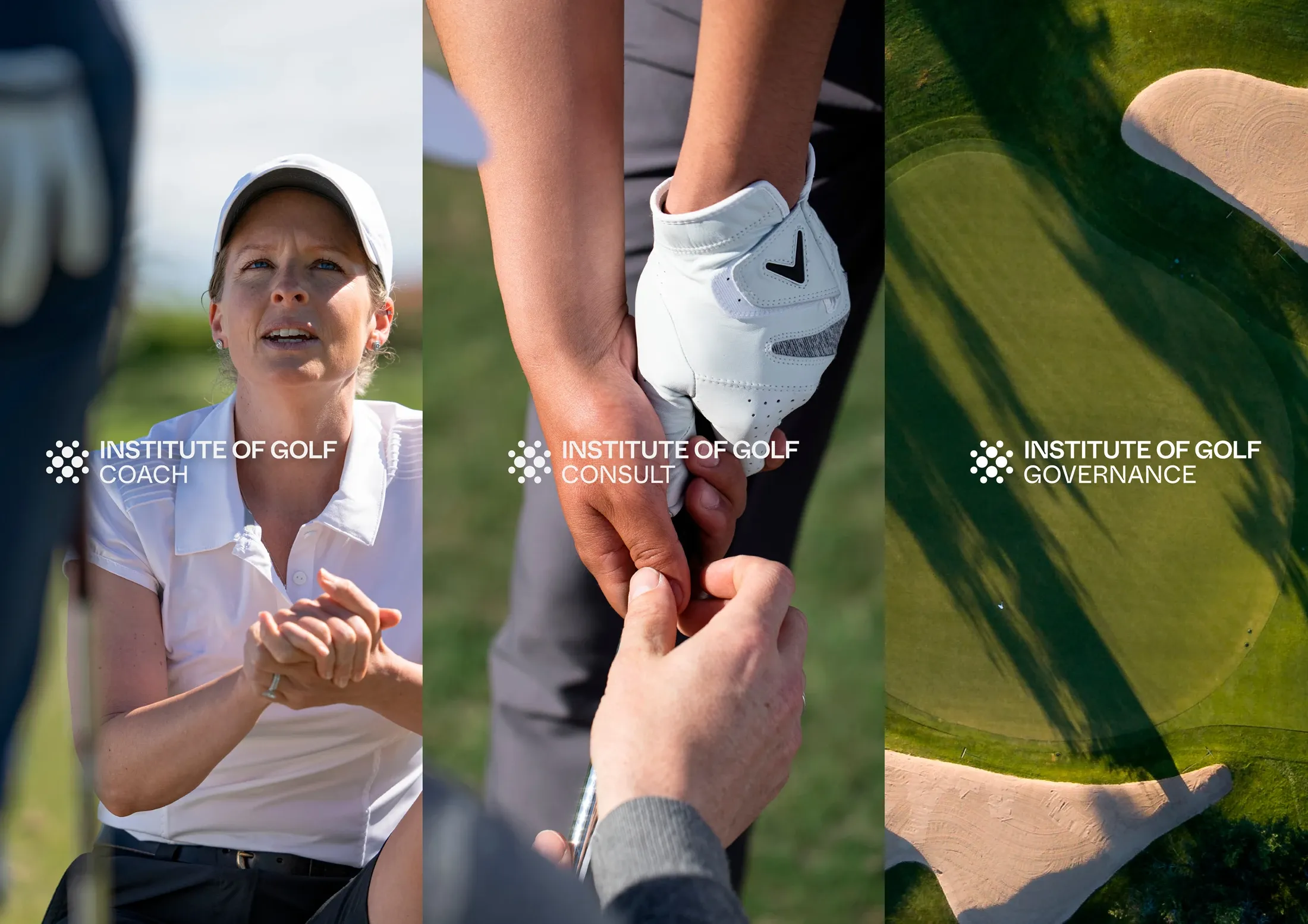 brand-strategy-design-digital-riley-institute-of-golf-logos